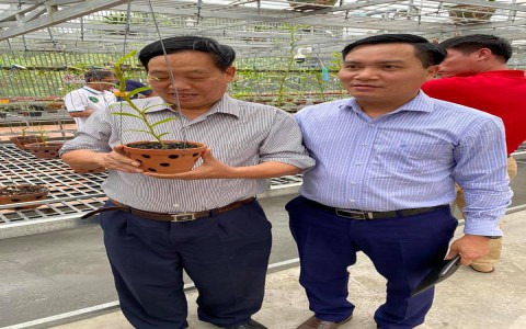Doanh nhân Dương Văn Lập: Liên kết 5 Nhà nhằm nâng cao giá trị gia tăng của ngành hoa lan